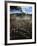 Cattle Drive at Trinchera Ranch-Loomis Dean-Framed Photographic Print