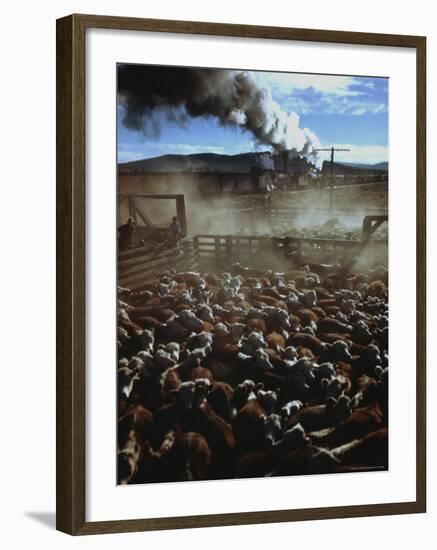 Cattle Drive at Trinchera Ranch-Loomis Dean-Framed Photographic Print