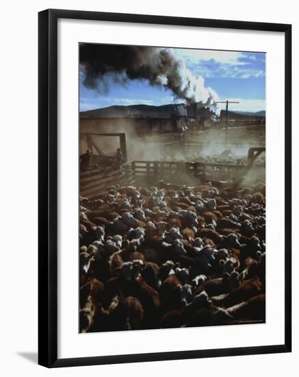 Cattle Drive at Trinchera Ranch-Loomis Dean-Framed Photographic Print