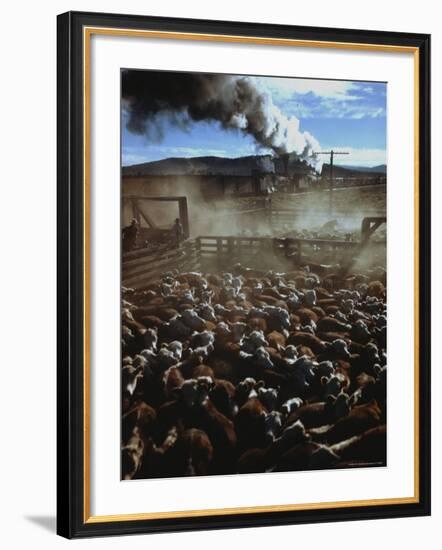 Cattle Drive at Trinchera Ranch-Loomis Dean-Framed Photographic Print