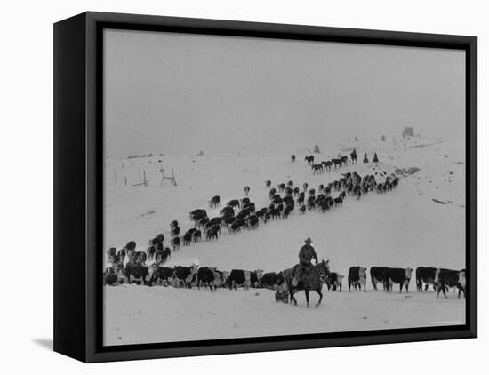 Cattle Drive on Snowy Landscape to Virginia City-Ralph Crane-Framed Premier Image Canvas