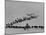 Cattle Drive on Snowy Landscape to Virginia City-Ralph Crane-Mounted Photographic Print