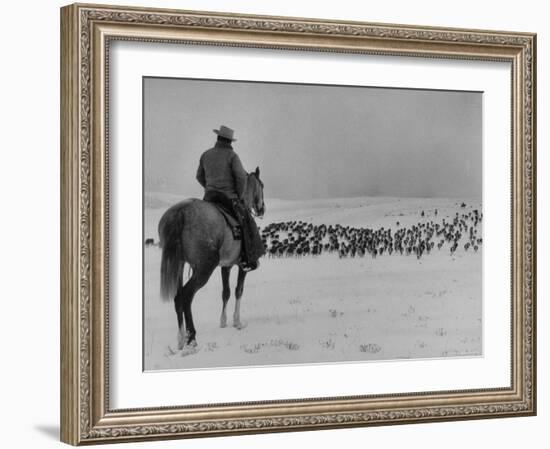 Cattle Drive on Snowy Landscape to Virginia City-Ralph Crane-Framed Photographic Print