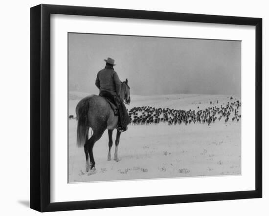 Cattle Drive on Snowy Landscape to Virginia City-Ralph Crane-Framed Photographic Print