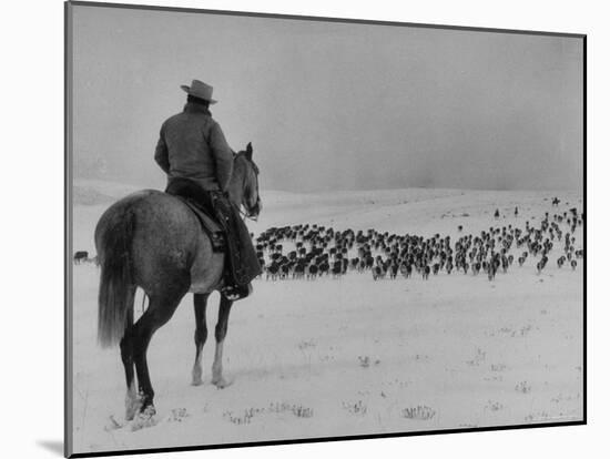 Cattle Drive on Snowy Landscape to Virginia City-Ralph Crane-Mounted Photographic Print