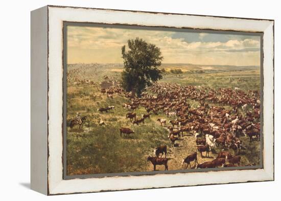 Cattle Drive-null-Framed Stretched Canvas