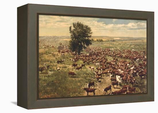 Cattle Drive-null-Framed Stretched Canvas