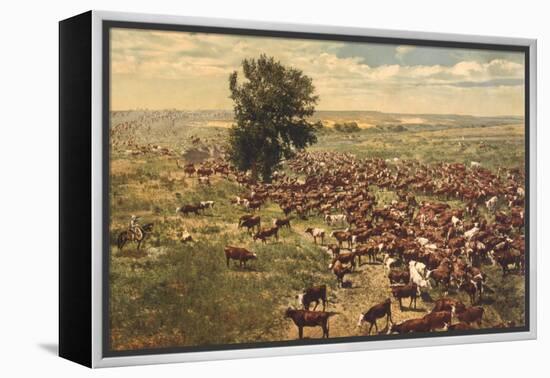Cattle Drive-null-Framed Stretched Canvas