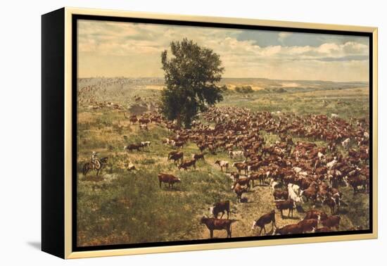 Cattle Drive-null-Framed Stretched Canvas