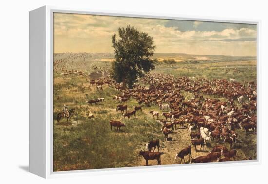 Cattle Drive-null-Framed Stretched Canvas