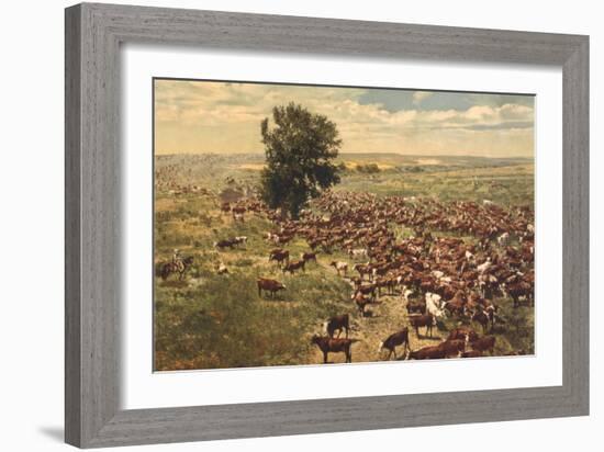 Cattle Drive-null-Framed Premium Giclee Print