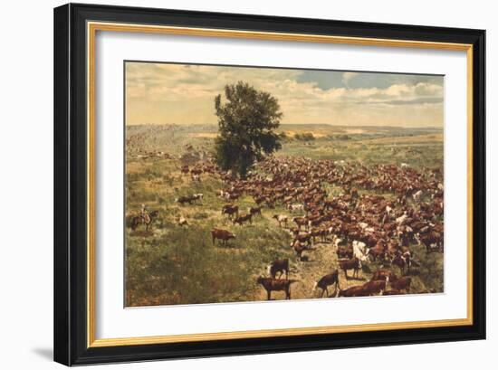 Cattle Drive-null-Framed Premium Giclee Print