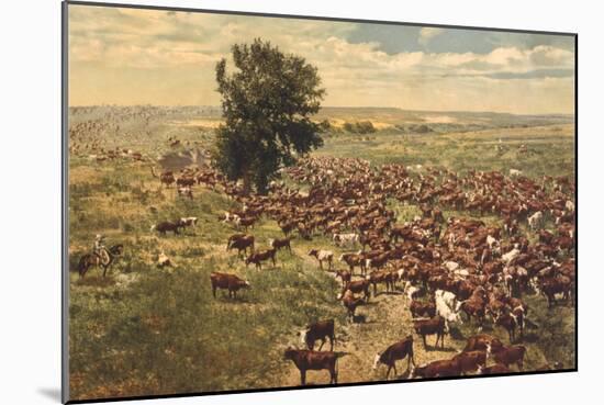 Cattle Drive-null-Mounted Art Print