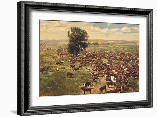 Cattle Drive-null-Framed Art Print