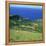 Cattle, Fields and Small Village on the Island of Flores in the Azores, Portugal, Atlantic, Europe-David Lomax-Framed Premier Image Canvas