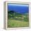 Cattle, Fields and Small Village on the Island of Flores in the Azores, Portugal, Atlantic, Europe-David Lomax-Framed Premier Image Canvas