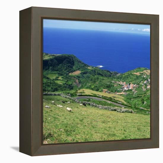 Cattle, Fields and Small Village on the Island of Flores in the Azores, Portugal, Atlantic, Europe-David Lomax-Framed Premier Image Canvas