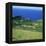 Cattle, Fields and Small Village on the Island of Flores in the Azores, Portugal, Atlantic, Europe-David Lomax-Framed Premier Image Canvas