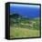 Cattle, Fields and Small Village on the Island of Flores in the Azores, Portugal, Atlantic, Europe-David Lomax-Framed Premier Image Canvas