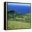 Cattle, Fields and Small Village on the Island of Flores in the Azores, Portugal, Atlantic, Europe-David Lomax-Framed Premier Image Canvas