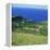 Cattle, Fields and Small Village on the Island of Flores in the Azores, Portugal, Atlantic, Europe-David Lomax-Framed Premier Image Canvas