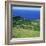 Cattle, Fields and Small Village on the Island of Flores in the Azores, Portugal, Atlantic, Europe-David Lomax-Framed Photographic Print