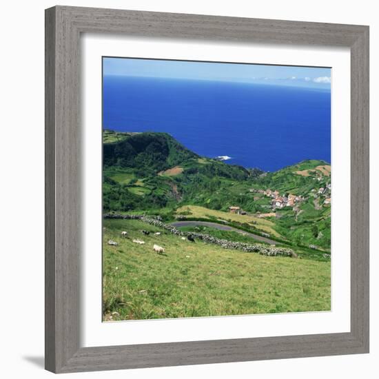 Cattle, Fields and Small Village on the Island of Flores in the Azores, Portugal, Atlantic, Europe-David Lomax-Framed Photographic Print