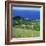 Cattle, Fields and Small Village on the Island of Flores in the Azores, Portugal, Atlantic, Europe-David Lomax-Framed Photographic Print