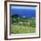 Cattle, Fields and Small Village on the Island of Flores in the Azores, Portugal, Atlantic, Europe-David Lomax-Framed Photographic Print