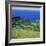 Cattle, Fields and Small Village on the Island of Flores in the Azores, Portugal, Atlantic, Europe-David Lomax-Framed Photographic Print