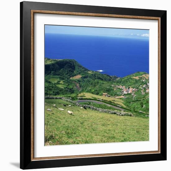 Cattle, Fields and Small Village on the Island of Flores in the Azores, Portugal, Atlantic, Europe-David Lomax-Framed Photographic Print