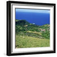 Cattle, Fields and Small Village on the Island of Flores in the Azores, Portugal, Atlantic, Europe-David Lomax-Framed Photographic Print