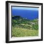 Cattle, Fields and Small Village on the Island of Flores in the Azores, Portugal, Atlantic, Europe-David Lomax-Framed Photographic Print