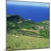 Cattle, Fields and Small Village on the Island of Flores in the Azores, Portugal, Atlantic, Europe-David Lomax-Mounted Photographic Print