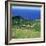 Cattle, Fields and Small Village on the Island of Flores in the Azores, Portugal, Atlantic, Europe-David Lomax-Framed Photographic Print