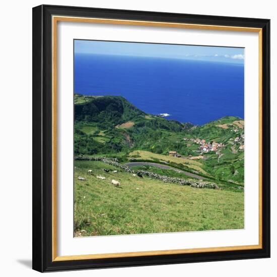 Cattle, Fields and Small Village on the Island of Flores in the Azores, Portugal, Atlantic, Europe-David Lomax-Framed Photographic Print