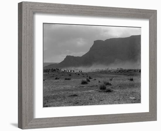 Cattle, Grand Coulee, 1916-Asahel Curtis-Framed Giclee Print