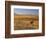 Cattle Graze Along the Rocky Mountain Front near Choteau, Montana, USA-Chuck Haney-Framed Photographic Print