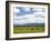 Cattle Graze in a Pasture Near Cascade, Idaho, Usa-David R. Frazier-Framed Photographic Print