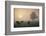 Cattle Grazing At Dawn On A Misty Morning, Dorset, England-David Noton-Framed Photographic Print