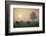 Cattle Grazing At Dawn On A Misty Morning, Dorset, England-David Noton-Framed Photographic Print