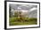 Cattle Grazing High in the Swiss Alps Near Wengen-null-Framed Photographic Print