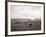 Cattle Grazing in a Field-null-Framed Photographic Print