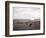 Cattle Grazing in a Field-null-Framed Photographic Print