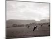 Photographic Print