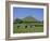 Cattle Grazing in Front of Glastonbury Tor, Glastonbury, Somerset, England, UK, Europe-Philip Craven-Framed Photographic Print