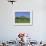 Cattle Grazing in Front of Glastonbury Tor, Glastonbury, Somerset, England, UK, Europe-Philip Craven-Framed Photographic Print displayed on a wall