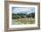 Cattle grazing, Omo Valley, between Turmi and Arba Minch, Ethiopia-Keren Su-Framed Photographic Print