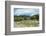 Cattle grazing, Omo Valley, between Turmi and Arba Minch, Ethiopia-Keren Su-Framed Photographic Print