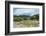 Cattle grazing, Omo Valley, between Turmi and Arba Minch, Ethiopia-Keren Su-Framed Photographic Print